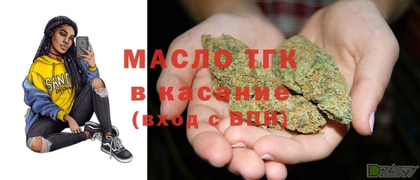 стаф Богородск