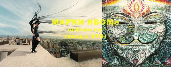 mdpv Богданович