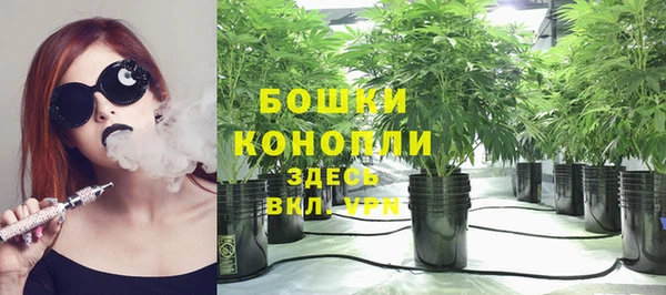 mdpv Богданович