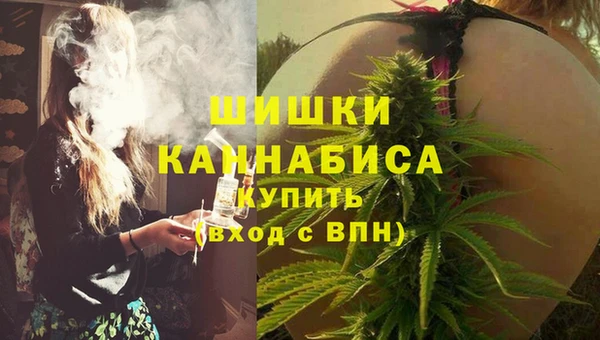 стаф Богородск