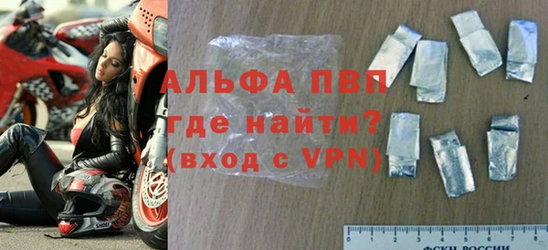 стаф Богородск