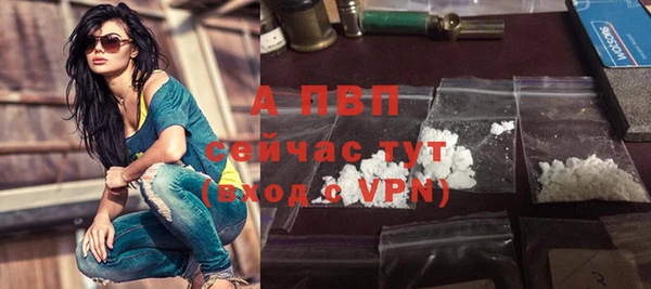 стаф Богородск