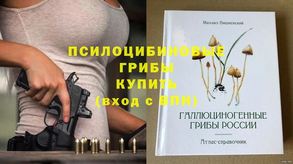 mdpv Богданович