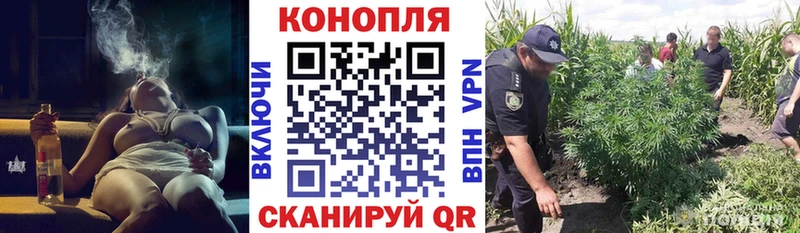 наркотики  Светогорск  Каннабис SATIVA & INDICA 